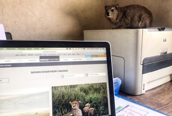 Office Update